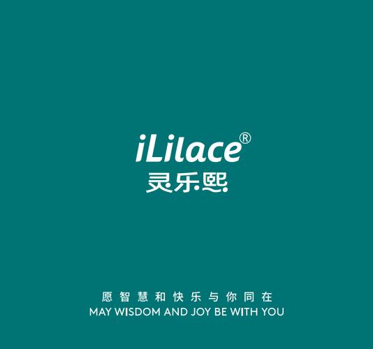 一般项目经营范围概述 玩具、互联网销售、办公用品及户外用品